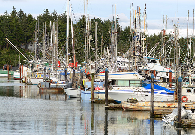 Oregon Ocean Fishing off Charleston Harbor in Coos Bay is some of the best ocean fishing on the west coast.